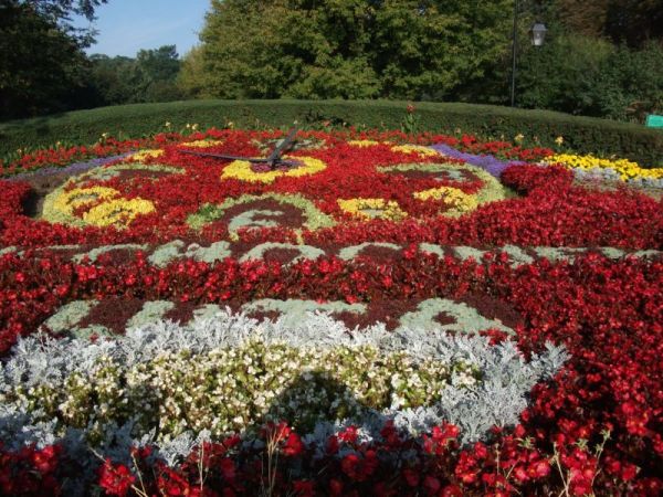 Ciechocinek słynie z pięknej zieleni i kwiatów,na zdjęciu zegar na  klombie z kwiatów.