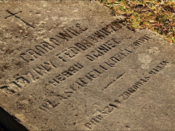 Drewniany, nieużytkowany kościół pw. św. Andrzeja Boboli w Krzeczowicach - (zbudowany ok. 1770 r.), dawna cerkiew parafialna pw. św. Mikołaja .