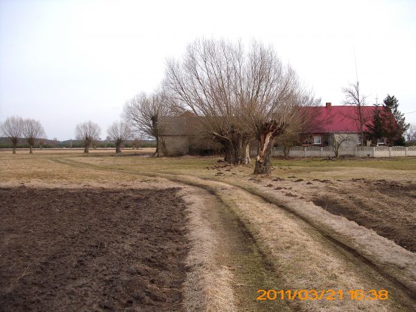Zdjęcia Szklarka Przygodzicka