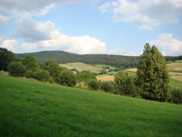 Nie zaklęte rewiry H.Worcella.