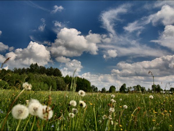 zdjecie Tyniewicze Duże