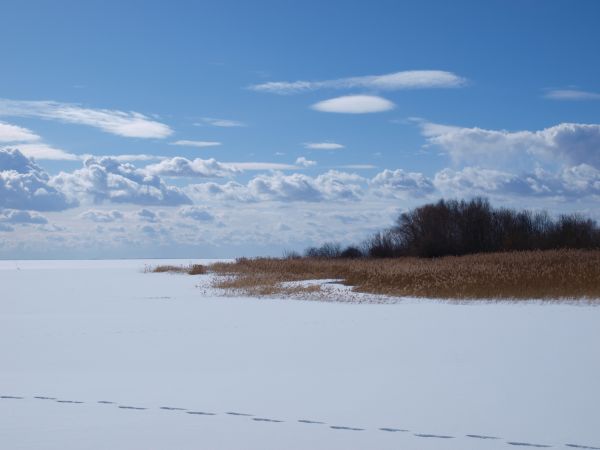 zdjecie Krynica Morska