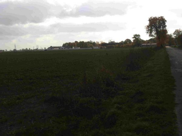 Otoczna, jesień 2008 panorama 3