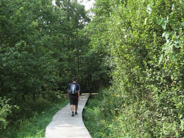 Ścieżką zdrowia :)