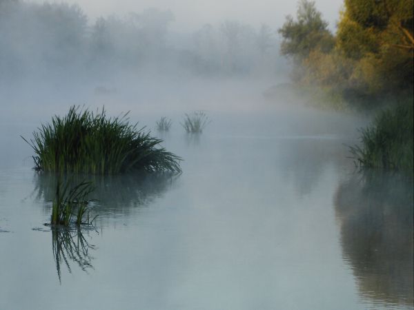 Pilica w Teofilowie o poranku