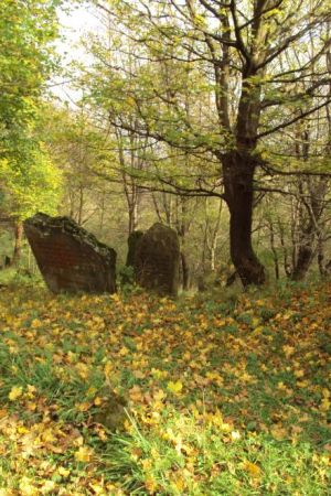 macewy - nagrobne płyty na mogiłach żydowskich, tu - n/z pochylone ale nie należy ich pozycji poprawiać, prostować - nie należy zakłócać snu wiecznego - tak ma