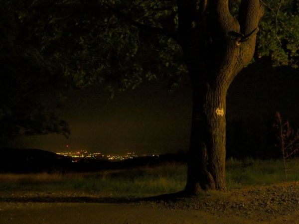 Więcej moich zdjęć na http://picasaweb.google.com/janek.fedorowicz