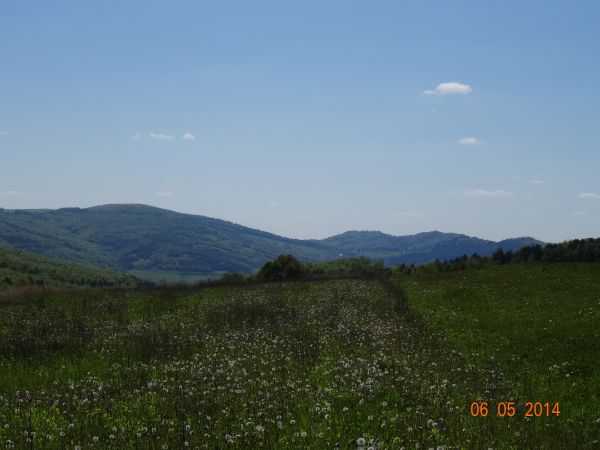 z podejścia na g. Kopacz - 536m npm : na dalszym planie, po lewej: zalesione zbocze g. Bucharewa - 530m npm i g. Moczarki - 584m npm, pośrodku szczyt g. Słony W