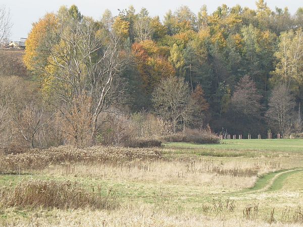 Boria w stronę starego młyna