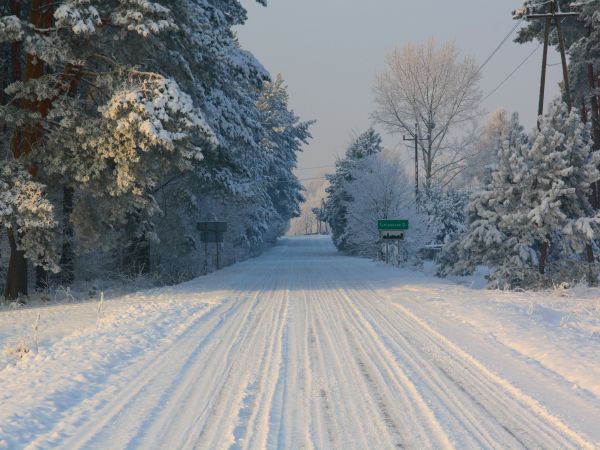 zdjecie Tyniewicze Duże
