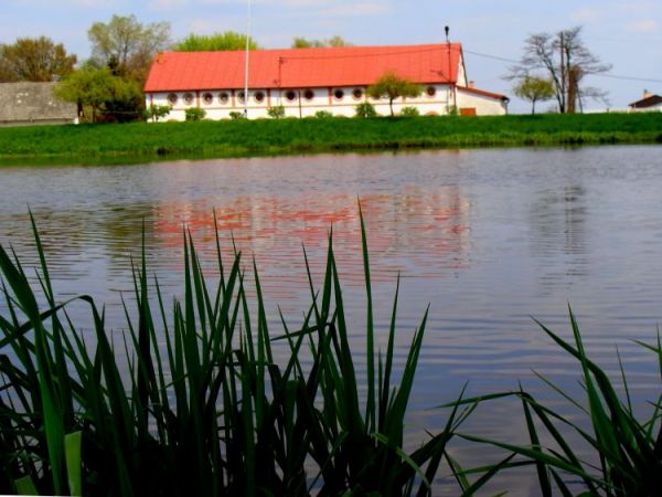 zdjecie Rudnik nad Sanem