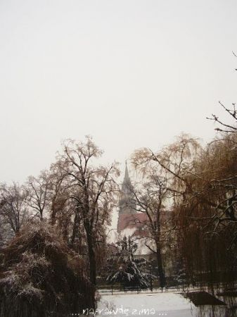 W dniu Trzech Króli