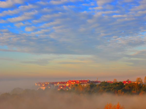 zdjecie Wodzisław Śląski