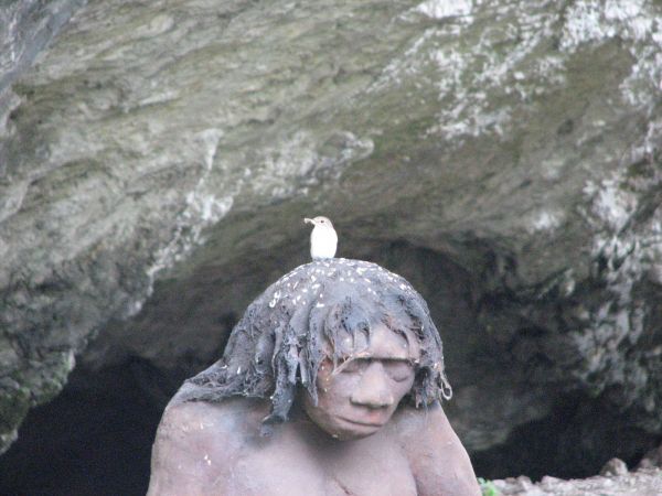 Przy grocie ciemnej w ojcowie