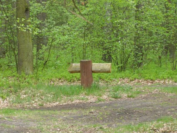 zdjecie Zalesie Górne