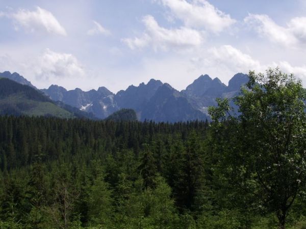 zdjecie Zakopane
