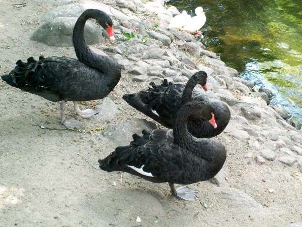 Zwiedzanie kraju - Ciechocinek.