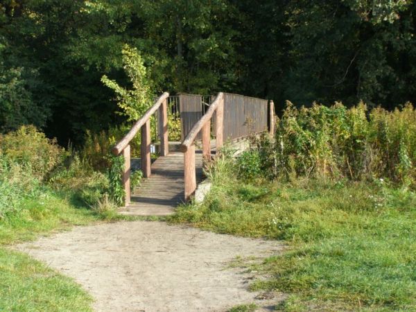 zdjecie Zalesie Górne