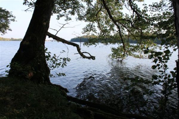 J. Trzesiecko / Szczecinek