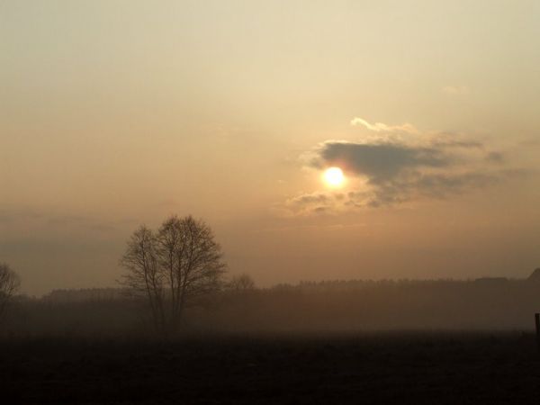 Wschód słońca w Adamowie.