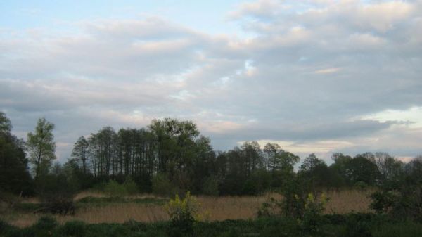 zdjecie Bukowa Śląska