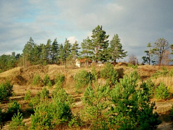 Waplewo Wielkie - żwirki 2005 rok