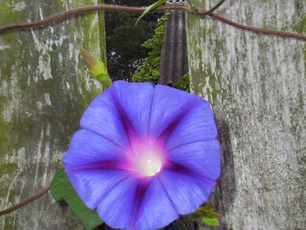 zdjecie Grądy Szlacheckie