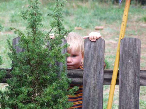 Sąsiedzi nam zazdroszczą