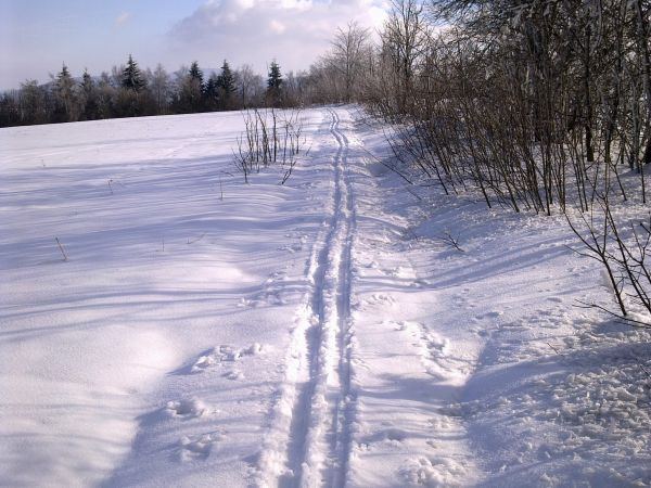 Różanka - żółtym szlakiem na Bochniak (713 m n.p.m.)