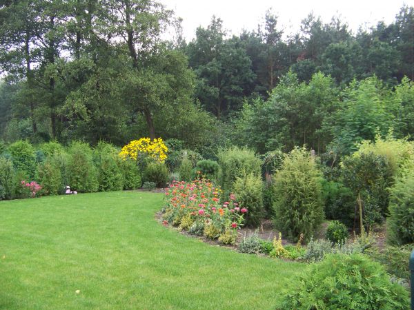 Zadbane rabaty kwiatowe i dzika natura lasu