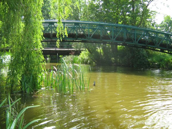Wolsztyn, urokliwy mostek na rzece Dojcy łączącej jeziora Wolsztyńskie i Berzyńskie.