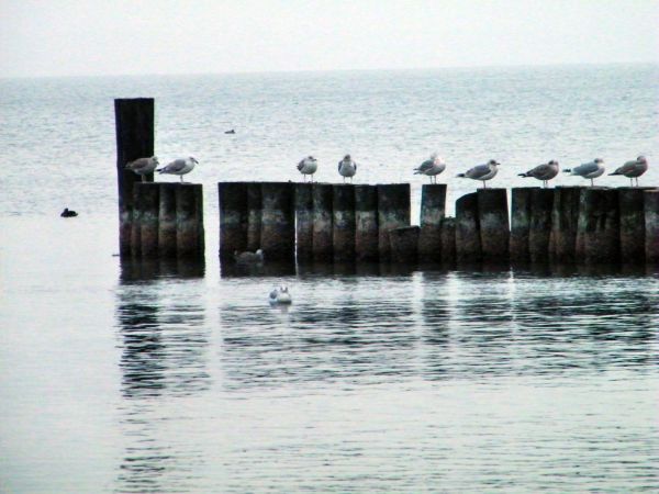 zdjecie Ustronie Morskie