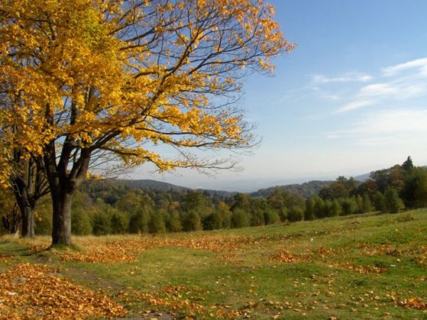 Więcej moich zdjęć na http://picasaweb.google.com/janek.fedorowicz