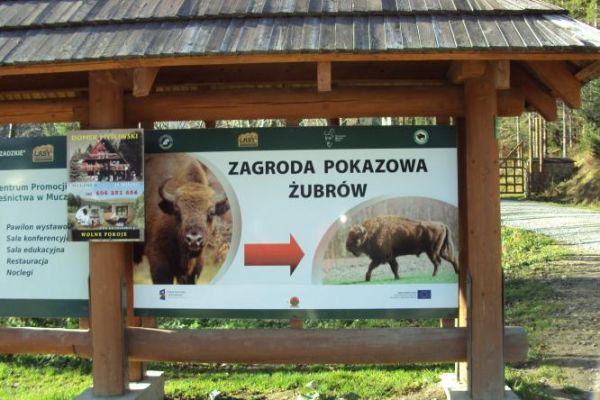 jak na planszy reklamowej - i tu dalej przez bramę - n/z po prawej.