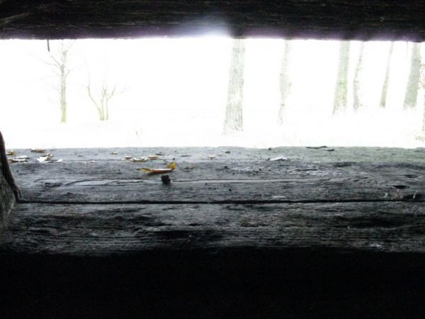 Schron nr 1 Armii "Poznań". Tradytor jednostronny. Widok na pole ostrzału, wprost z wnętrza izby załogi schronu.