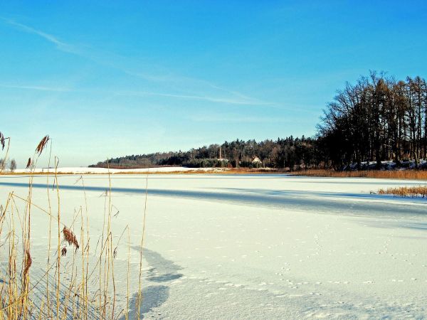 Widok na j. Tulickie(którego nie ma na mapie) oraz leśniczówkę.