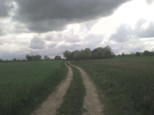 ,,Sypkie, płynne, skaliste, 
rozpłomienione i lotne 
połacie nieba, okruszyny nieba, 
podmuchy nieba i sterty. 
Niebo jest wszechobecne 
nawet w ciemnościa