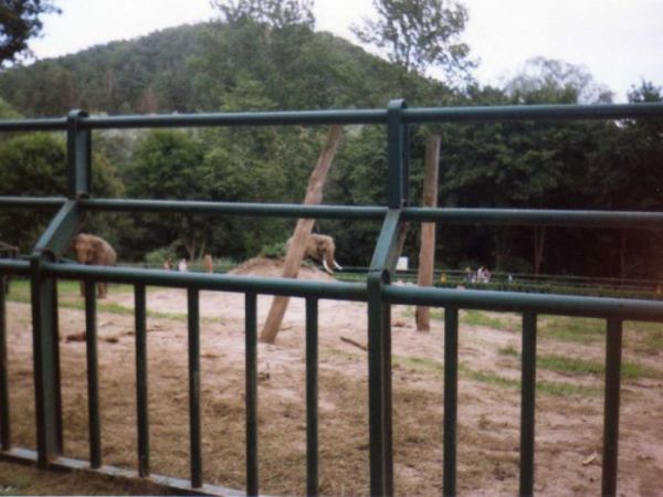 Gdańsk - Oliwa- ZOO