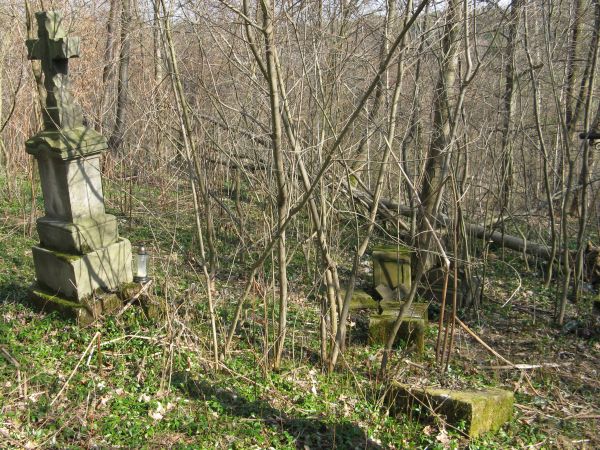 na cmentarzu wyznawców obrządku grecko-katolickiego, do czasu wysiedleń - mieszkańców tej wsi - duży płat barwinka stanowi poszycie leśne, cmentarne.