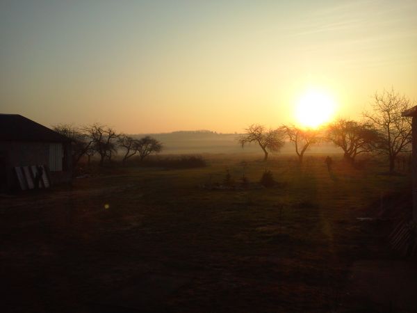 Pogoń Gosławicka, wczesny ranek, życie się budzi po mroźnej nocy