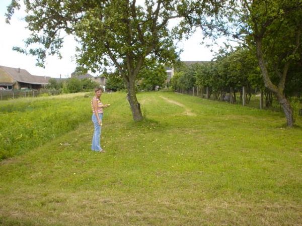 Przed wjazdem do Ligoty - Proszkowskiej