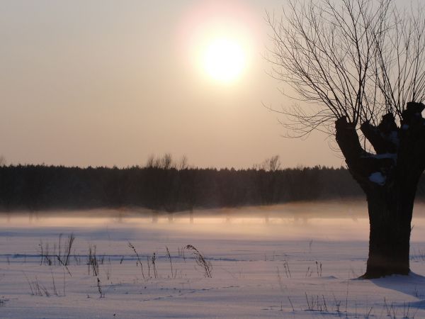 zdjecie Małkinia Górna