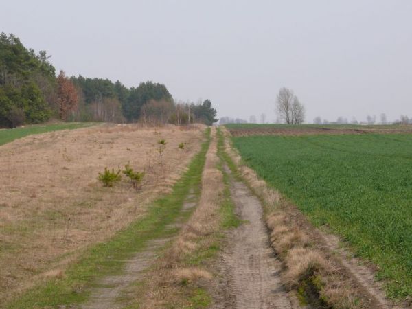 Wiejska urocza droga