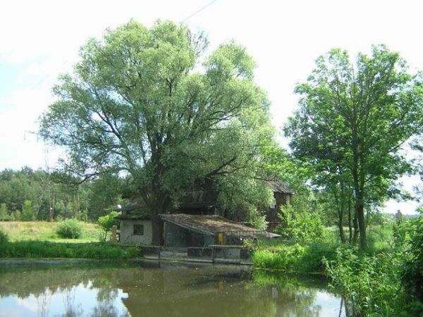 Stary młyn na młynczyskach
