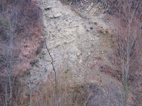 osuwisko - ukazujące flisz karpacki - przy potoku Tyrawka, w okolicach Mrzygłodu przy Diablej Górze - do Sanu wpadnie /patrz galeria: Tyrawa Solna/. Wspomniany