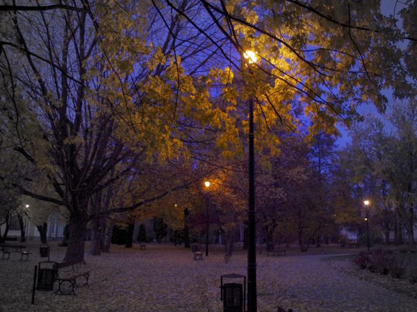 Park obok Dworku Oborskich