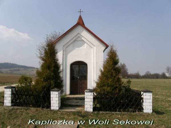 zdjecie Wola Sękowa