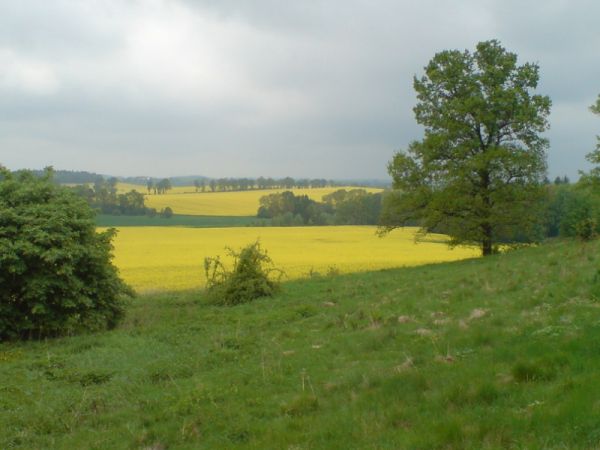 Widok z Wesołówki w kierunku Pisarzowic