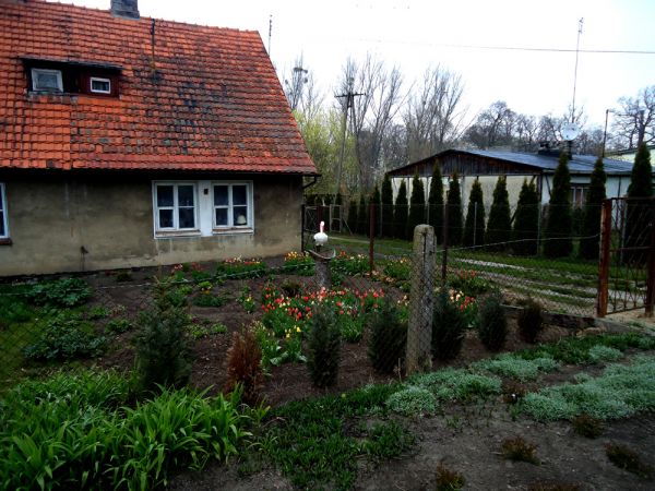 Wiosennie w Bytyniu.