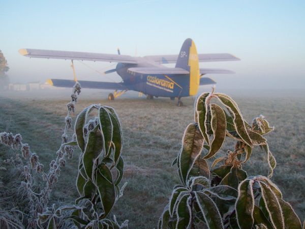 Lotnisko w Mirosławicach